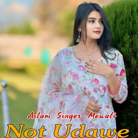 Not Udawe | Boomplay Music