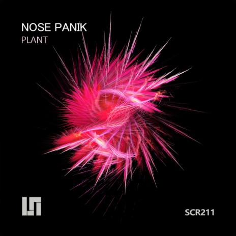 Plant | Boomplay Music