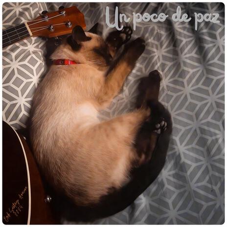 Un poco de paz | Boomplay Music