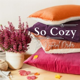 So Cozy - The Natural Order