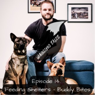 Feeding Shelter Dogs - Buddy Bites