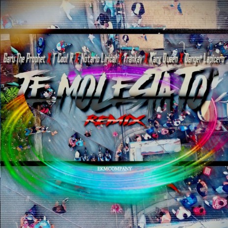Te Molesta To (Remix) | Boomplay Music