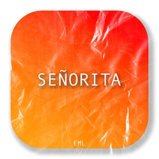 Señorita lyrics | Boomplay Music