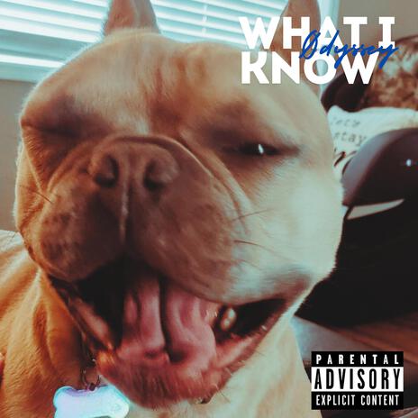 What I Know | Boomplay Music