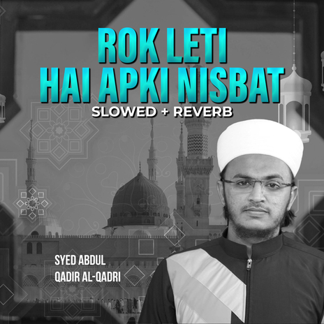 Rok Leti Hai Apki Nisbat (Lofi-Mix)