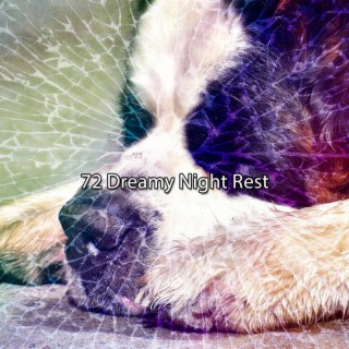 72 Repos nocturne de rêve (2022 This Way Is Diagonal Records)