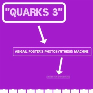 Quarks 3