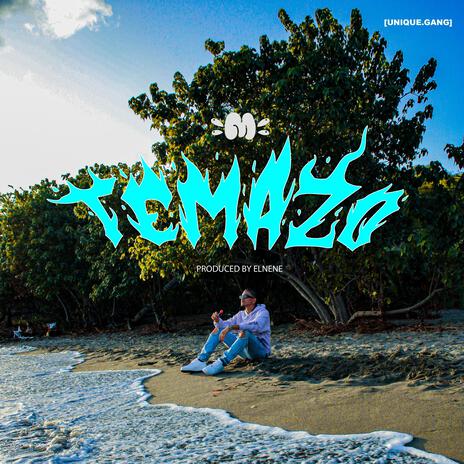 Temazo | Boomplay Music