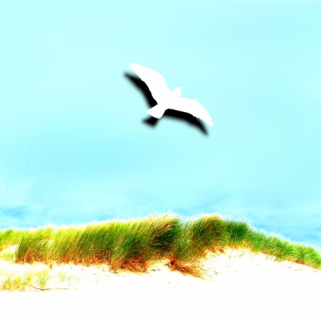 Flying like a Bird (Piano Version)