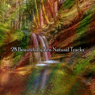 28 Pistes naturelles magnifiquement zen (2022 Inquiet pour rien Records)