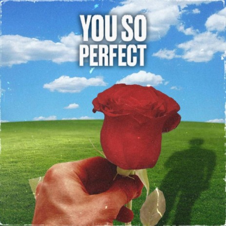 You so perfect | Boomplay Music