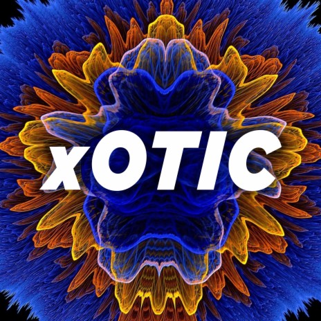 Xotic | Boomplay Music