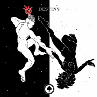 DESTINY lyrics | Boomplay Music