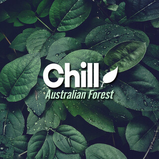 Australian Forest