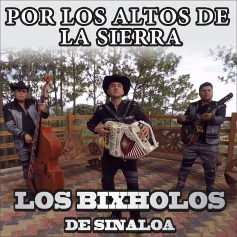 Por Los Altos De La Sierra | Boomplay Music