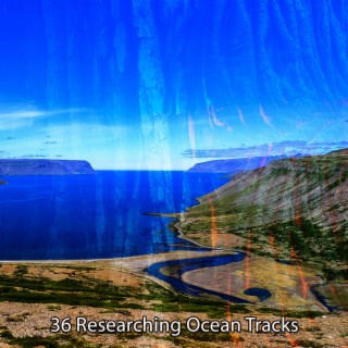 36 Recherche de traces océaniques (2022 Inquiet pour rien Records)