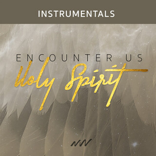 Encounter Us Holy Spirit (Instrumental)