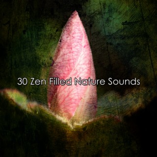 30 Sons de la nature remplis de zen (2022 Natures Stream Studios)