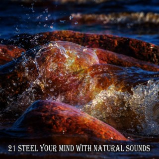 21 Renforcez votre esprit avec des sons naturels (2022 Caring Pooch Studios)