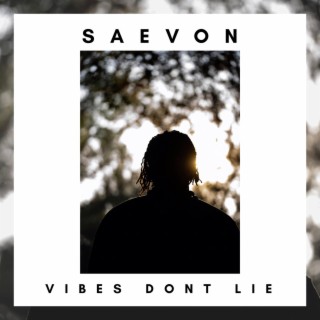 Vibes Don't Lie lyrics | Boomplay Music