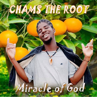 Chams The Root