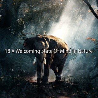 18 Un état d'esprit accueillant dans la nature (2022 This Way Is Diagonal Records)