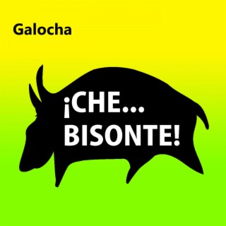 Che, Bisonte!