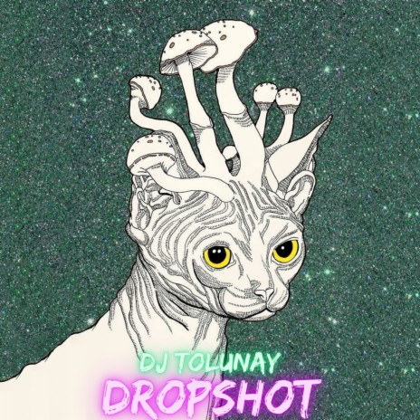 Drop Shot | Boomplay Music