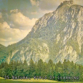 25 Monde naturel de l'apprentissage (2022 Records de la nature illimités)