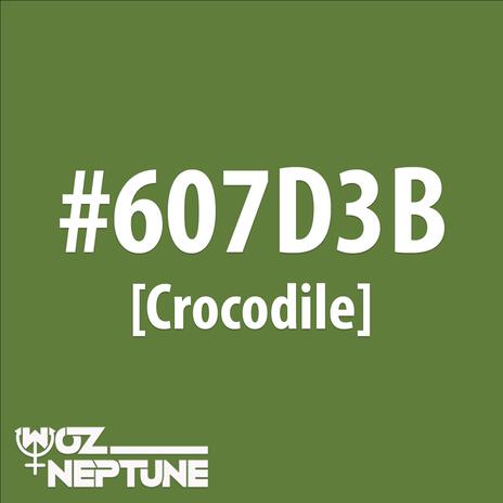 Crocodile (Radio Edit) | Boomplay Music