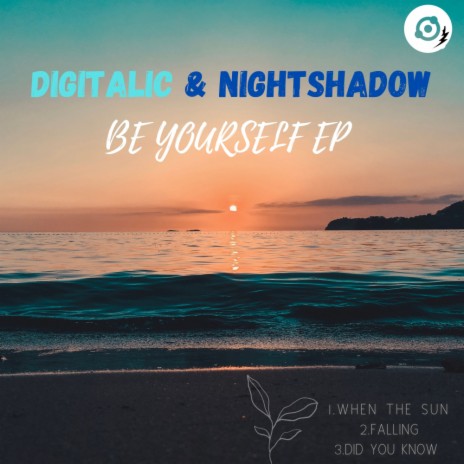 Did You Know (Original Mix) ft. Nightshadow | Boomplay Music