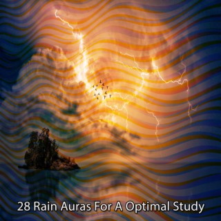 28 Les auras de pluie pour une étude optimale (2022 This Way Is Diagonal Records)