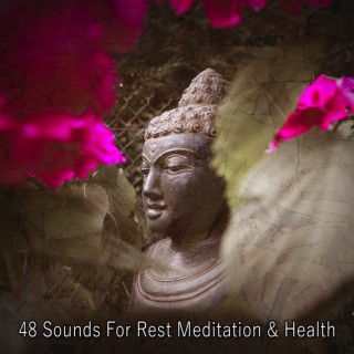 48 Sons pour le repos, la méditation et la santé (2022 Grands enregistrements de spa)