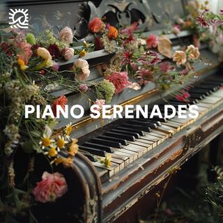 Piano serenades