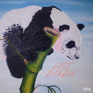 Last Panda