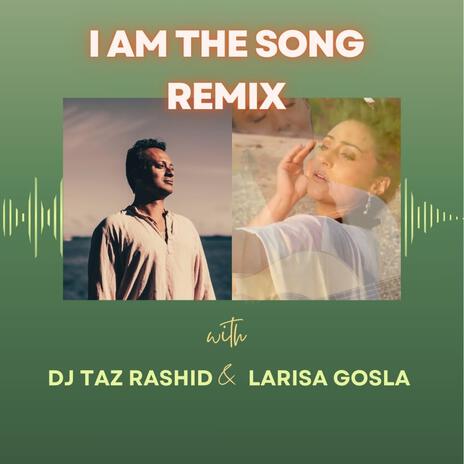 I Am The Song (DJ Taz Rashid Mix) ft. DJ Taz Rashid | Boomplay Music