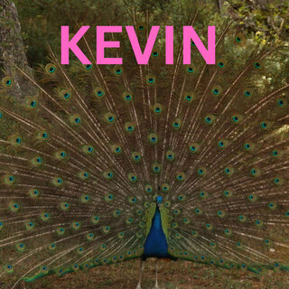 Kevin j'ai besoin de toi