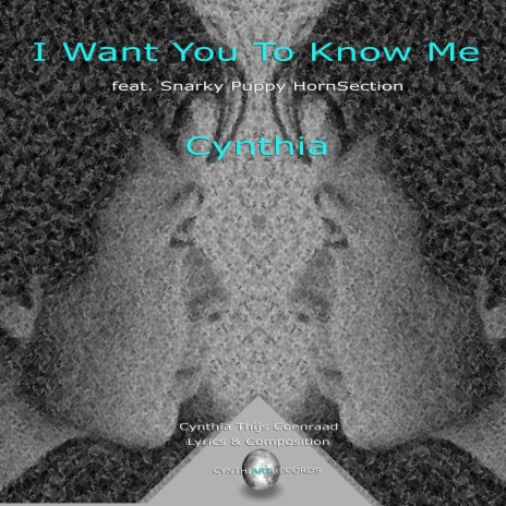 I Want You to Know Me (feat. Snarky Puppy Hornsection) (Radio Edit)