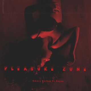 The Pleasure Zone (Radio Edit) ft. Payso lyrics | Boomplay Music