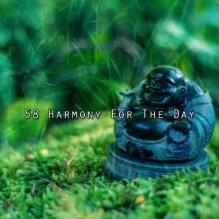 58 Harmonie pour la journée (2022 Likes Alike Records)