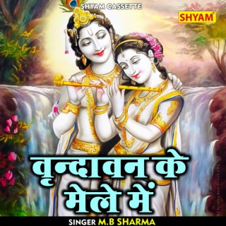 Vrindavan Ke Mele Mein