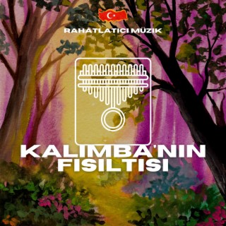 Kalimba'nın Fısıltısı: Yumuşak Müzikle Uykulu Bir Yolculuk