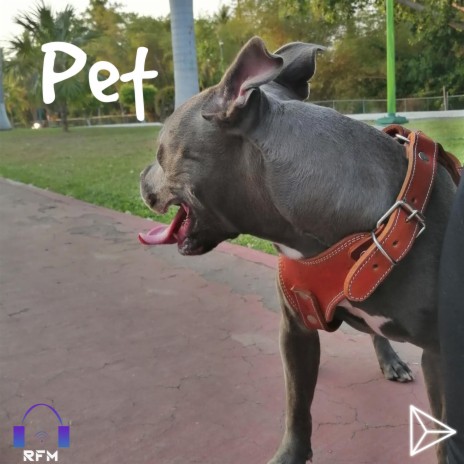 Pet | Boomplay Music