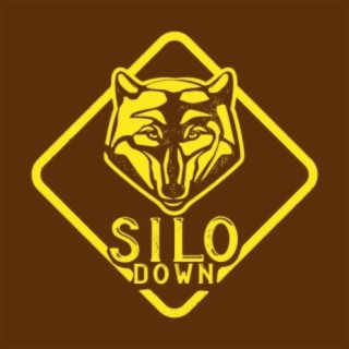 Silo Down