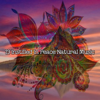23 Instilled In Peace Musique Naturelle (2022 Inquiet pour rien Records)