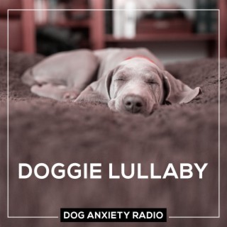 Doggie Lullaby