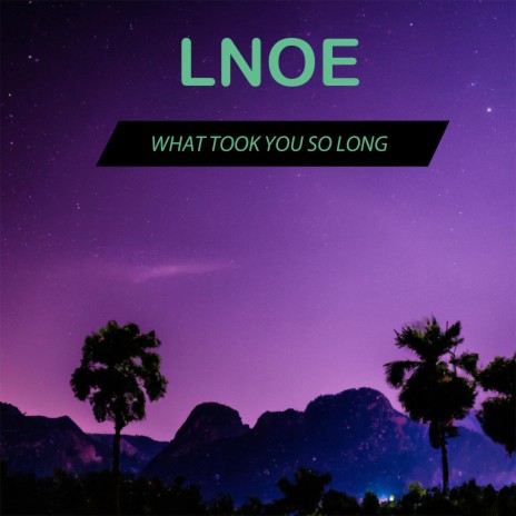 What Took You So Long | Boomplay Music