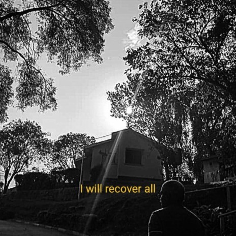 i will recover all | Boomplay Music