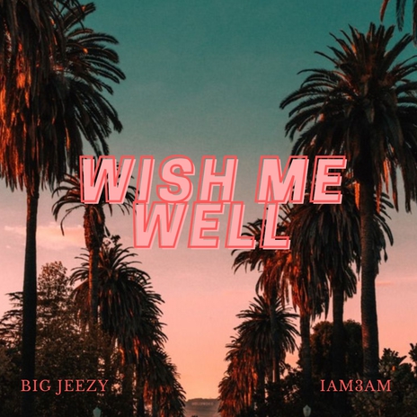 Wish Me Well ft. IAM3AM | Boomplay Music