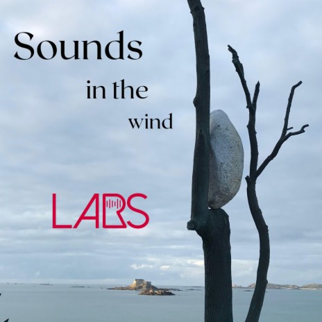 Sounds in the wind | Boomplay Music